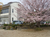DSC06138