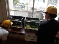 DSCN0171