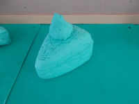 DSCN2404