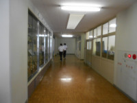 DSCN5482