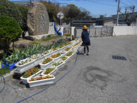 DSCN2725