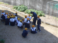 DSCN2938