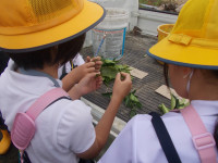 DSCN0013