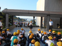 DSCN6245