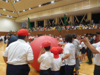 DSCN3239