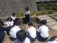 DSCN0335