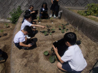 DSCN0336