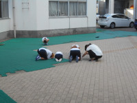 DSCN5497